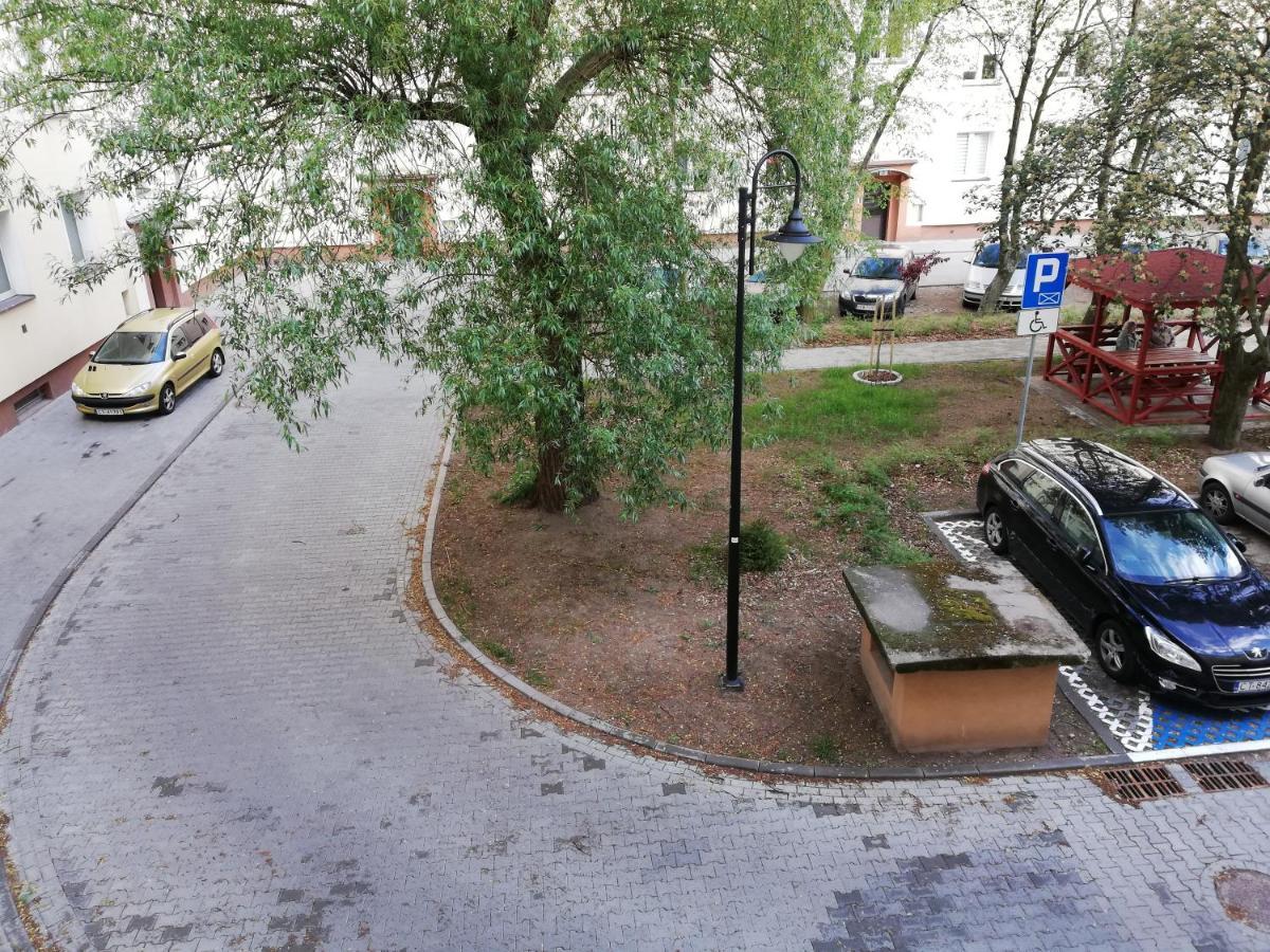 Mieszkanie Kawalerka Торунь Экстерьер фото